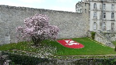 Z2303-17 Vannes 38 Le chateau de l'hermine