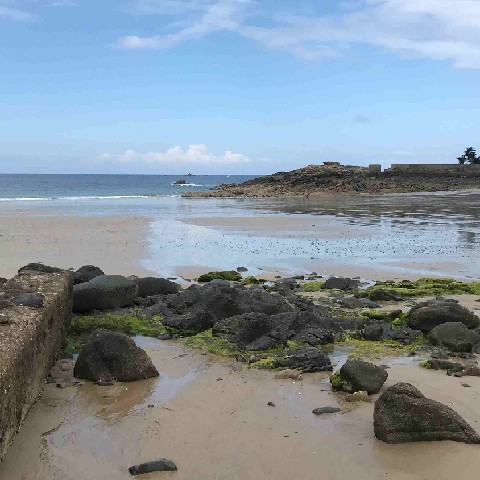 Z2405-23 GDGW Dinard 56c Il fait beau sur la Côte d'Emeraude !