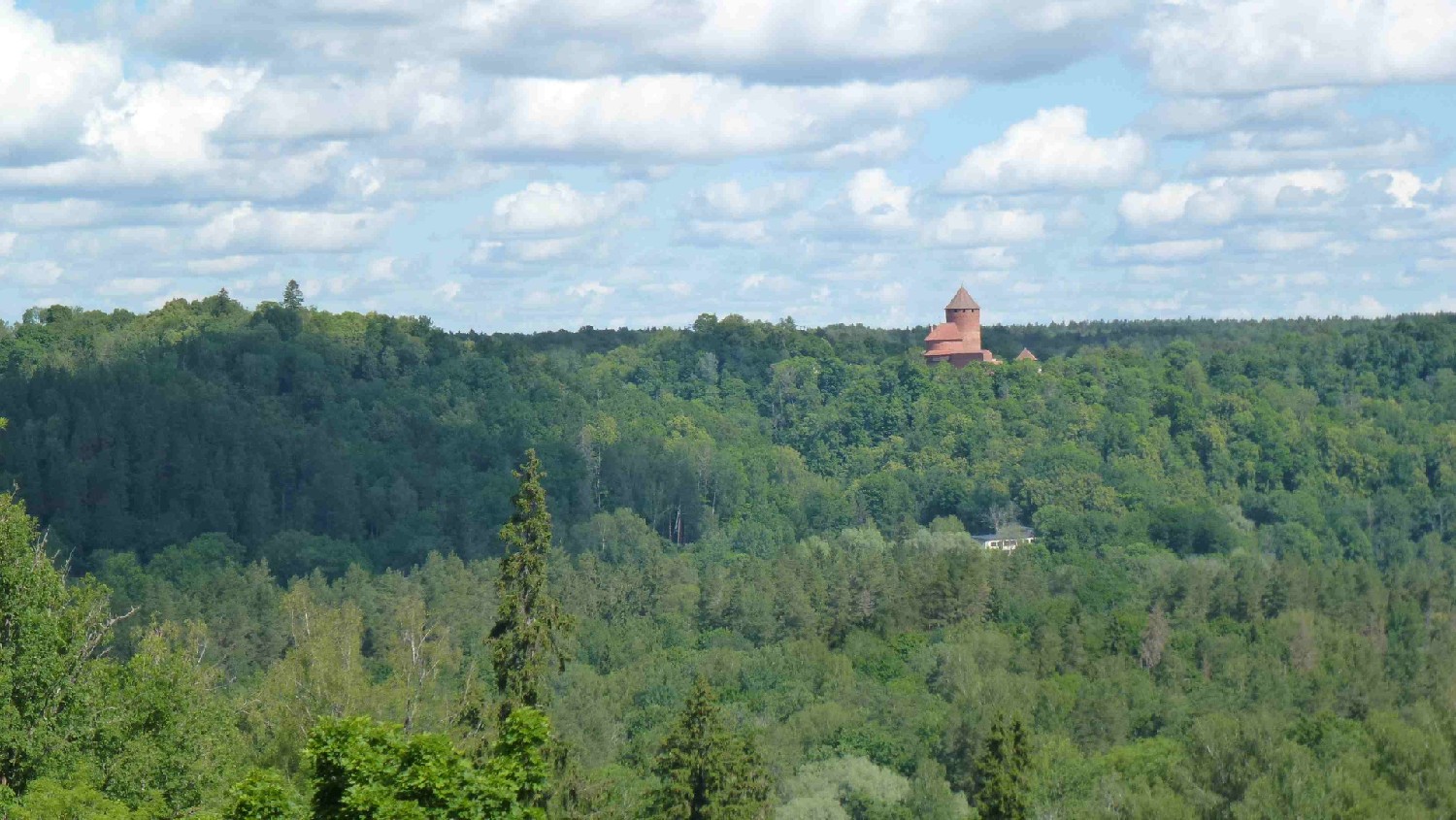 Z2406-15 J4 195 Sigulda - le chteau de Turaidas au loin