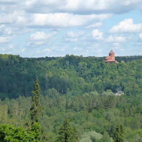 Z2406-15 J4 195 Sigulda - le chteau de Turaidas au loin