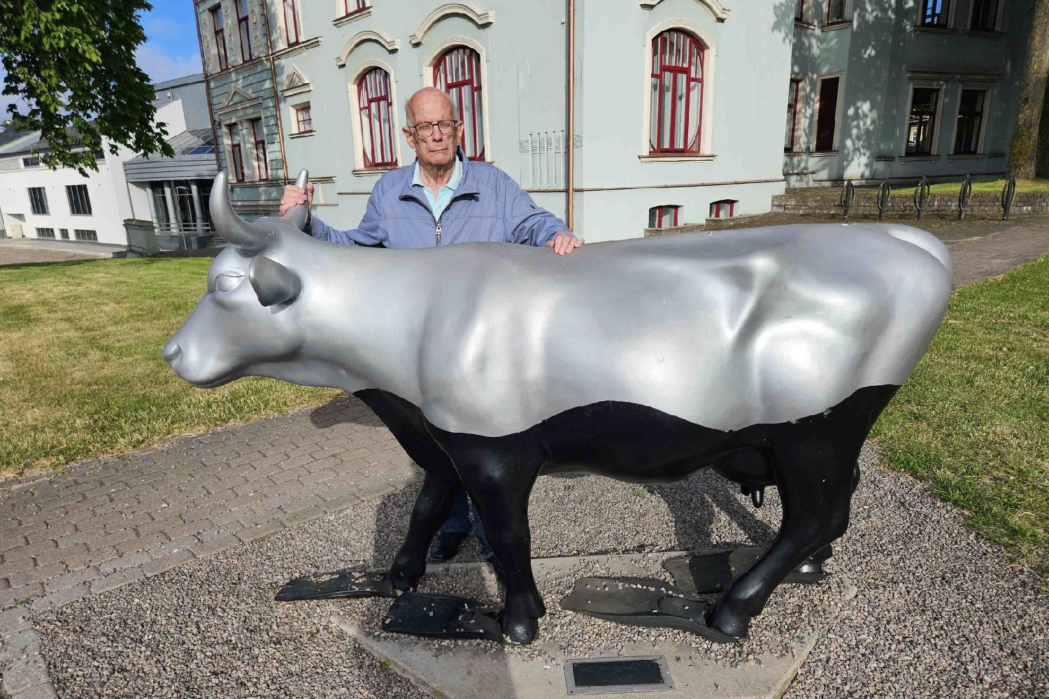 Z2406-17 J6 433 Ventspils - Gilles maitrise la vache palmée