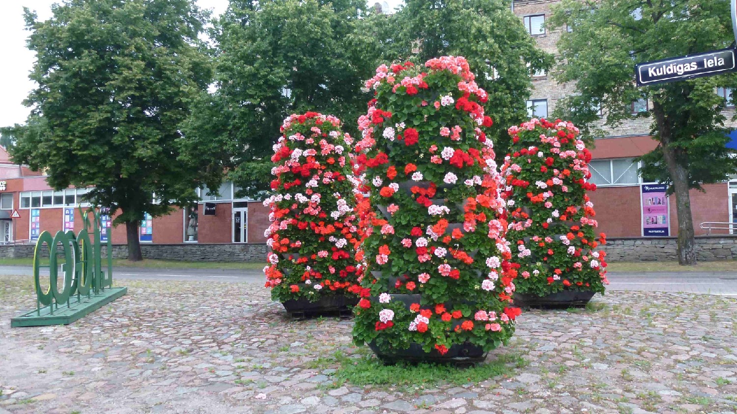 Z2406-17 J6 448 Ventspils - Arbustes de fleurs