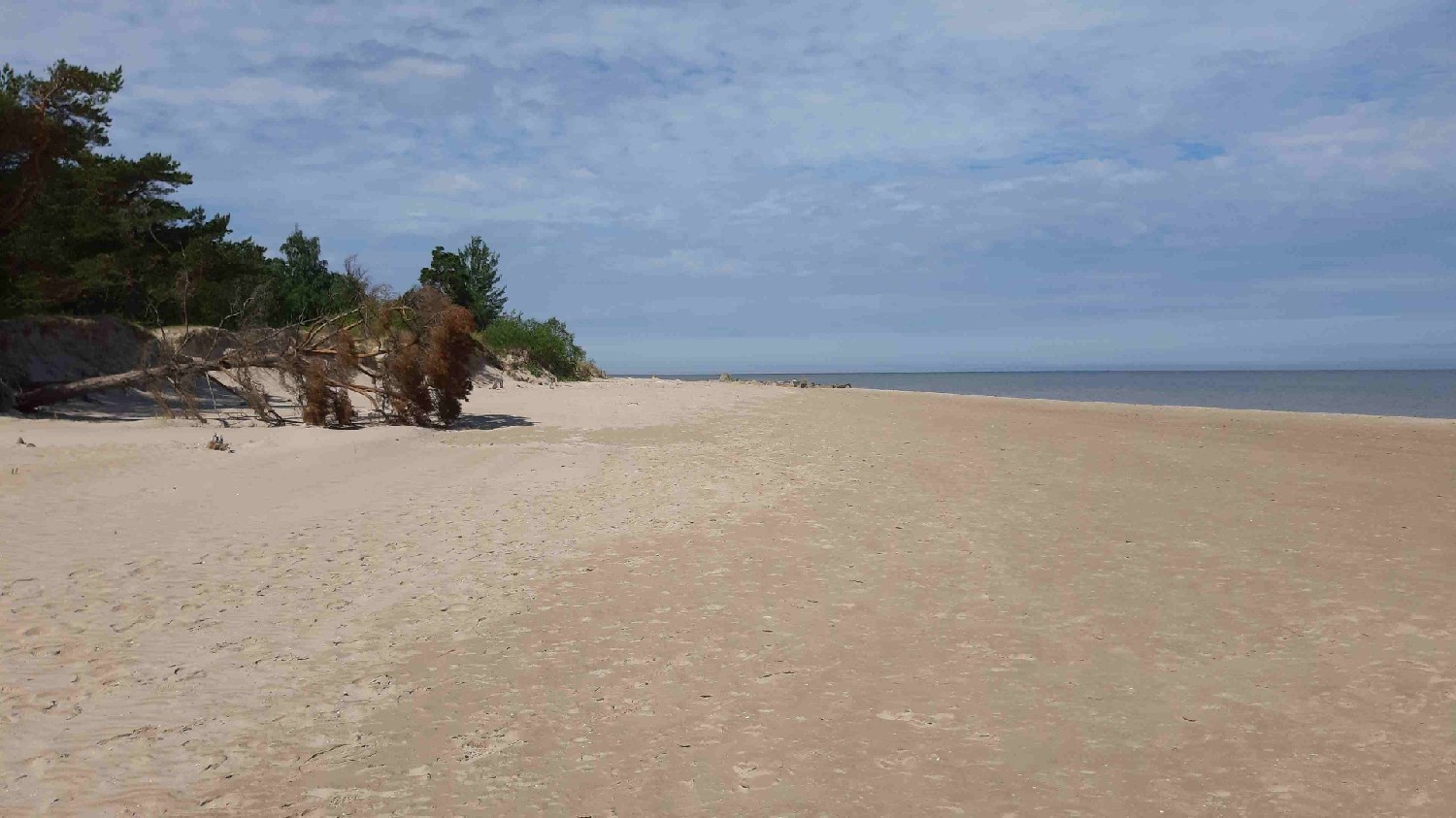 Z2406-18 J7 468 Kolka - la plage au sud de la pointe