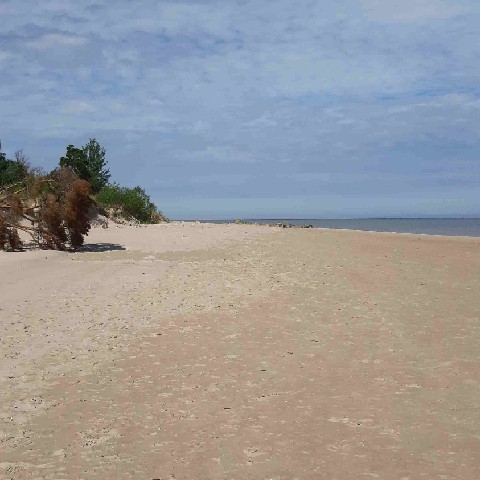 Z2406-18 J7 468 Kolka - la plage au sud de la pointe